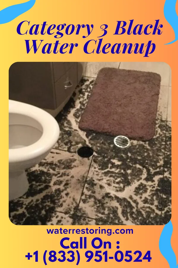 Category 3 Black Water Cleanup in Richmond, UT